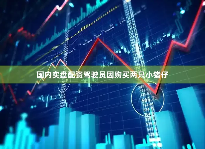 国内实盘配资驾驶员因购买两只小猪仔